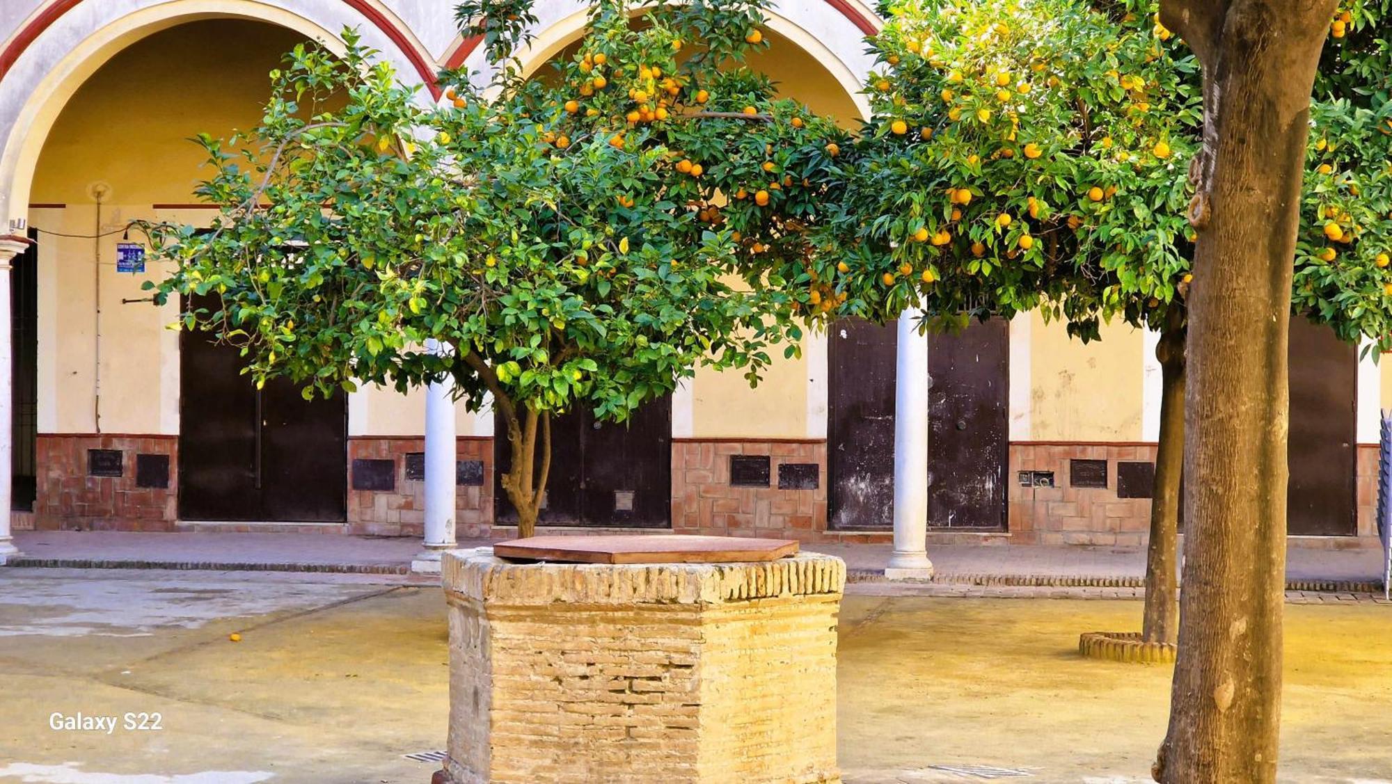 Residencial Victoria Centro Daire Sanlúcar de Barrameda Dış mekan fotoğraf